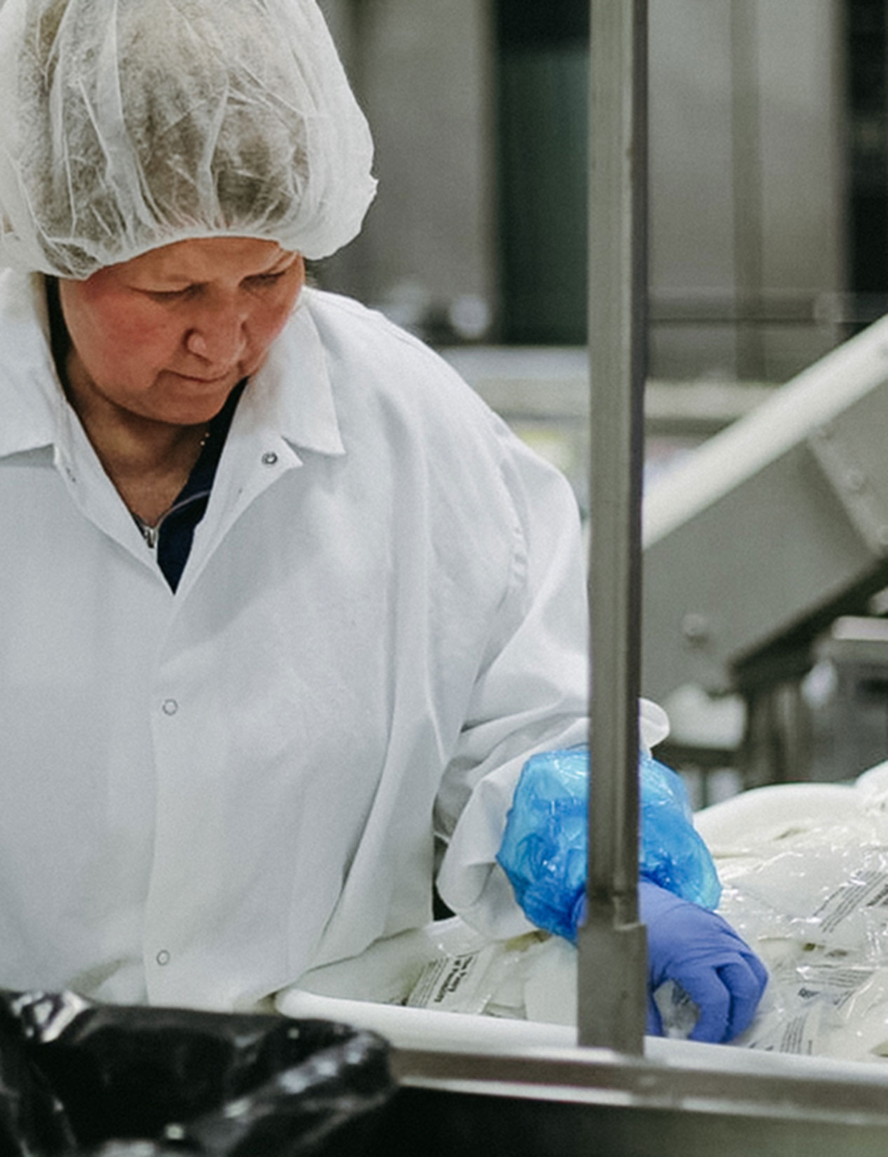 Production employee placing icing packets on conveyer